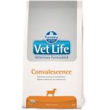 Farmina Vet Life dog Convalescence 2 kg