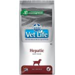 Farmina Vet Life dog Hepatic 2 kg