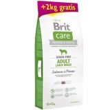 BRIT Care dog Grain free Adult Large Breed Salmon & Potato 12+2 kg