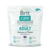 BRIT Care dog Grain free Adult Salmon & Potato 1 kg
