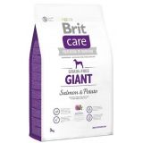 BRIT Care dog Grain free Giant Salmon & Potato 3 kg