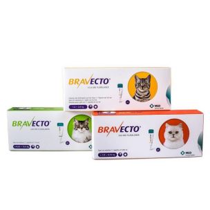 Bravecto Cat M 250 mg spot-on roztok pre stredne veľké mačky ( od 2,8 do 6,25 kg ) 1 x 0,89 ml