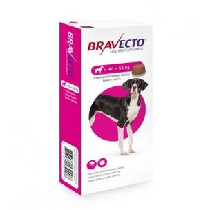 Bravecto žuvacie tablety XL 40-56 kg 1400 mg 1 x 1 tbl x 1 tbl.