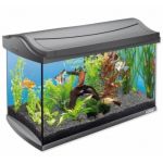 TETRA akvárium LED antracit 60L set - 57x35x30cm